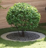 VidaXL Gegalvaniseerde Plantenbak Gegalvaniseerd Gegalvaniseerd Metaal