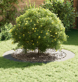 VidaXL Gegalvaniseerde Plantenbak Gegalvaniseerd Gegalvaniseerd Metaal