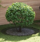 VidaXL Kunststof Plantenpot Olijfgroen Kunststof Groot Plantenpot