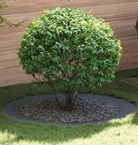 VidaXL Anthraciet Plantenbak Anthraciet Hars Groot Duurzaam