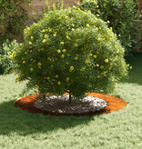 VidaXL Corten Stalen Plantenbak Corten Staal Groot