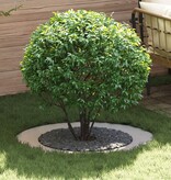 VidaXL RVS Plantenbak Roestvrijstaal Groot Decoratieve Inlegstukken