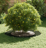 VidaXL Olijfgroene Metalen Plantenbak Olijfgroen Metaal Groot Plantenbak