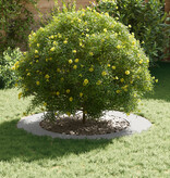 VidaXL Witte Plantenbak Wit Kunststof Groot Lichtgewicht Plantenbak