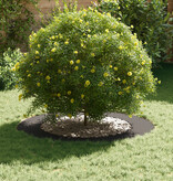 VidaXL Plastic Plantenbak Set Zwart Kunststof 90 cm diameter Duurzaam