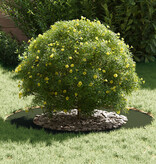 VidaXL Olijfgroene Plantenpot Olijfgroen Kunststof Groot