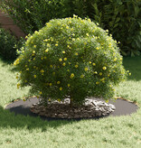 VidaXL Plastic Plantenbak Zwart Kunststof Groot Rond Modern