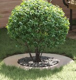 VidaXL Plantenring Roestvrijstaal Groot Duurzaam Circulair