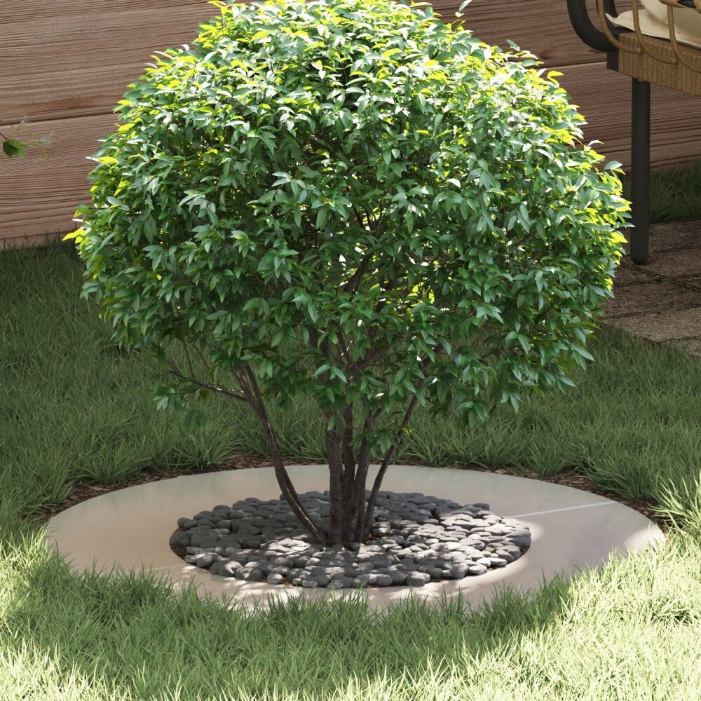 VidaXL Plantenring Roestvrijstaal Groot Duurzaam Circulair