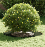 VidaXL Kunststof Plantenpot Olijfgroen Kunststof Groot