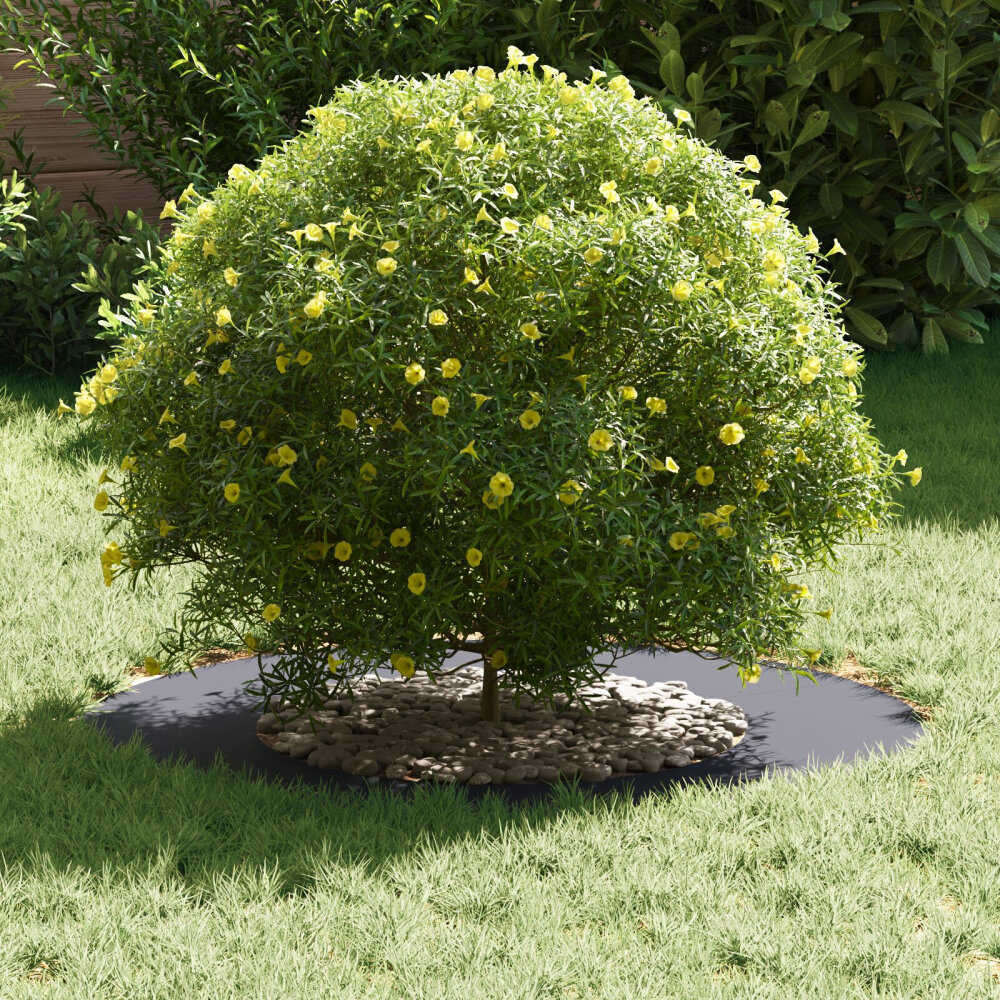 VidaXL Kunststof Plantenbak Anthraciet Duurzaam Kunststof Medium