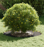 VidaXL Metalen Plantenring Zwart Metaal 70 cm diameter