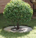 VidaXL Gegalvaniseerde metalen plantenbak Gegalvaniseerd