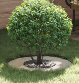 VidaXL Roestvrijstalen Planter Roestvrijstaal Middel Strak