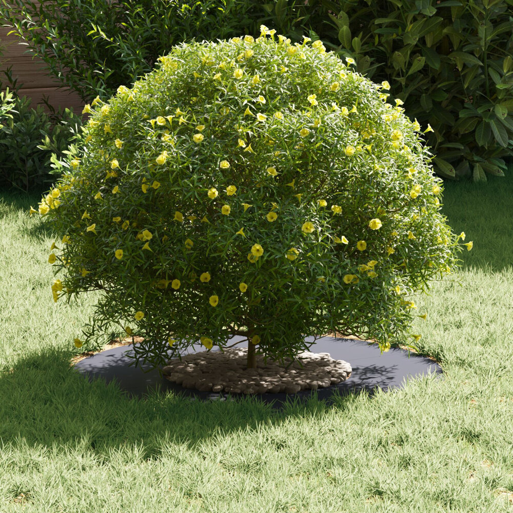 VidaXL Hars planter Anthraciet Hars Middelgroot Potten