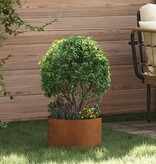 VidaXL Corten Stalen Plantenbak Corten staal Corten Staal Middelgroot