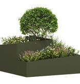 VidaXL Planter Olijfgroen 80x80x50 cm Koudgewalst Staal