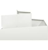 VidaXL Planter Wit 80x80x50 cm Koudgewalst Staal