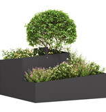 VidaXL Plantenbak Zwart 80x80x50 cm Koudgewalst Staal