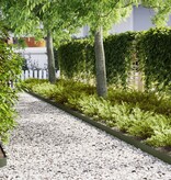 VidaXL Gazonranden 20 st 100x0,5x15 cm staal olijfgroen