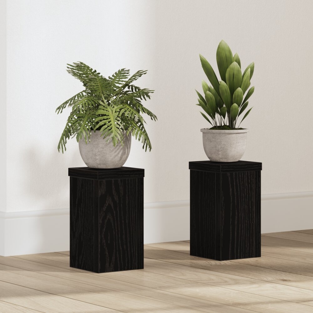 VidaXL Zwarte Eiken Plantenstand Set van 2 Zwart eiken Hout