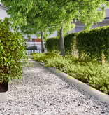 VidaXL Graskanten 30 st 15x103 cm roestvrij staal