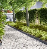 VidaXL Gazonranden 10 st 100x0,5x15 cm staal anatraciet