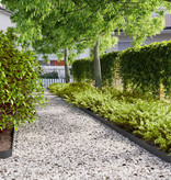 VidaXL Gazonranden 50 st 10x103 cm koudgewalst staal zwart