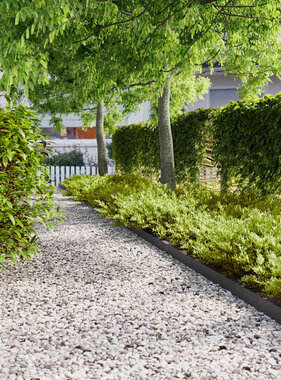 VidaXL Gazonranden 50 st 10x103 cm koudgewalst staal zwart