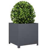 VidaXL Plantenbak 50x50x50 cm staal antracietkleurig