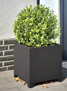 VidaXL Plantenbakken 2 st 40x40x40 cm staal zwart