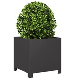 VidaXL Plantenbakken 2 st 40x40x40 cm staal zwart
