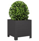VidaXL Plantenbakken 2 st 30x30x30 cm staal zwart