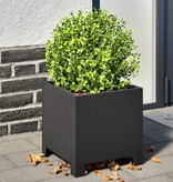 VidaXL Plantenbak 30x30x30 cm staal zwart