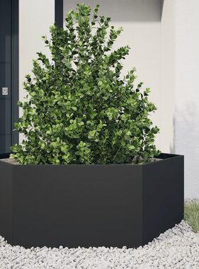 VidaXL Plantenbak zeshoek 138x120x45 cm staal zwart