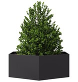 VidaXL Plantenbak zeshoek 138x120x45 cm staal zwart