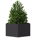 VidaXL Plantenbak zeshoek 104x90x45 cm staal zwart