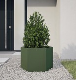 VidaXL Plantenbak zeshoek 69x60x45 cm staal olijfgroen