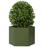 VidaXL Plantenbak zeshoek 69x60x45 cm staal olijfgroen