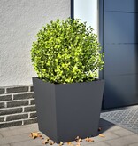 VidaXL Plantenbak 50x50x50 cm staal antracietkleurig