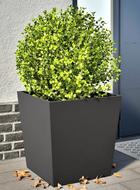VidaXL Plantenbakken 2 st 50x50x50 cm staal zwart