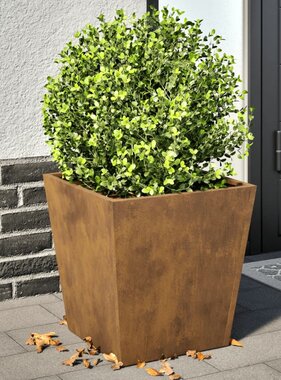 VidaXL Plantenbakken 2 st 40x40x40 cm weervast staal