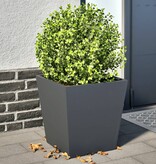 VidaXL Plantenbakken 2 st 40x40x40 cm staal antracietkleurig