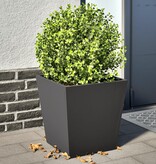 VidaXL Plantenbakken 2 st 40x40x40 cm staal zwart