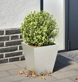 VidaXL Plantenbak 30x30x30 cm roestvrij staal