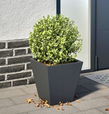 VidaXL Plantenbak 30x30x30 cm staal antracietkleurig