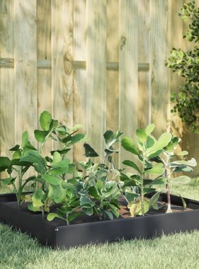 VidaXL Plantenbak verhoogd 100x100x26 cm staal antracietkleurig