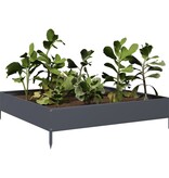 VidaXL Plantenbak verhoogd 100x100x26 cm staal antracietkleurig