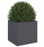 VidaXL Plantenbak 49x47x46 cm staal antracietkleurig