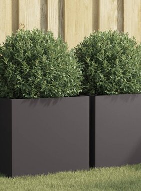 VidaXL Plantenbakken 2 st 49x47x46 cm staal zwart